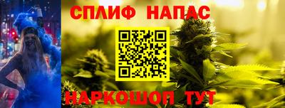 2c-b Кингисепп