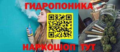 шишки Кинель