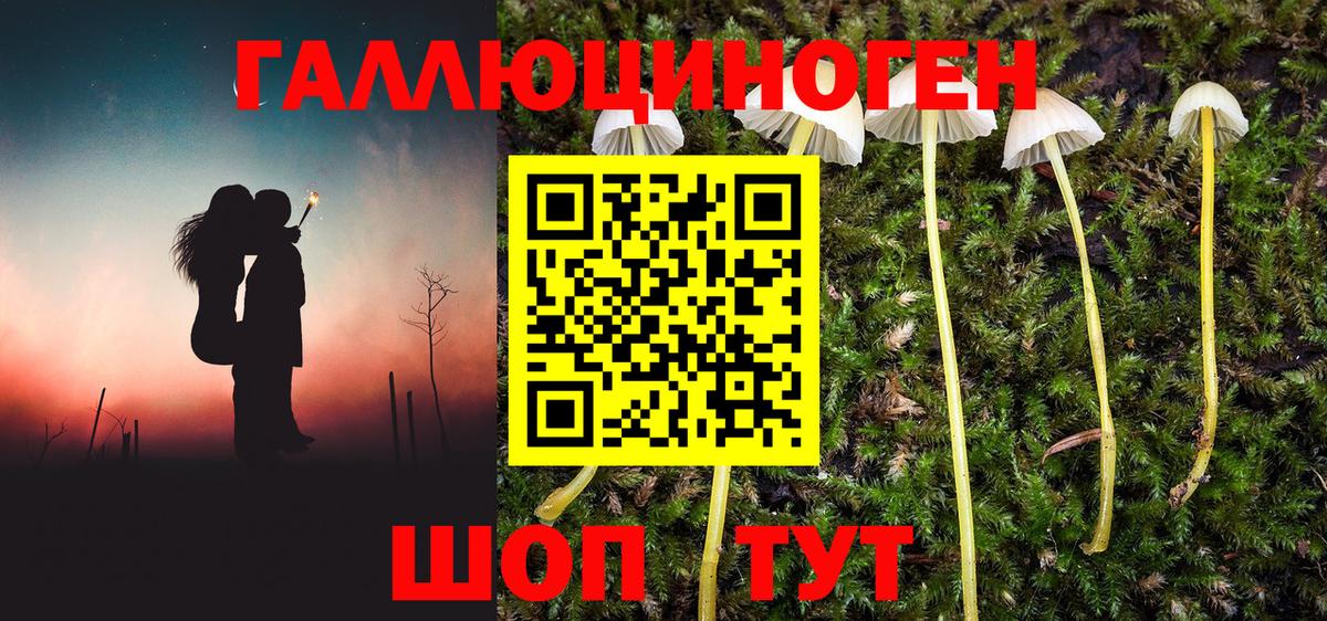 Галлюциногенные грибы Psilocybine cubensis  Вход с VPN  где можно купить   Коммунар 