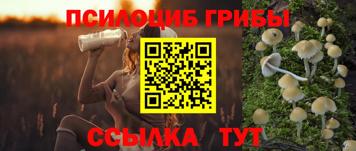 Галлюциногенные грибы GOLDEN TEACHER Коммунар